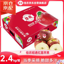 佳农 云南昭通红露苹果 净重2.4kg 12-15粒 礼盒装 新鲜水果1元