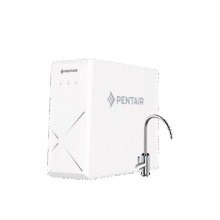 滨特尔（pentair）净水器家用净水机自来水过滤器5年RO反渗透0阻垢厨下式直饮机大流量 2.93L/min 净饮机 【热销爆款】EZ5000净水器2999元 (券后省300)