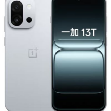 再降价，首购礼金，政府补贴：一加 13T 手机 骁龙 8 至尊版 晨雾灰 12+256G2369.01元（需领券）