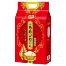 十月稻田稻香米东北大米
