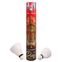 亚狮龙（RSL）羽毛球D5鹅毛专业比赛耐打稳定77速1桶12只装622.8元（合155.7元/件）