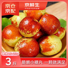 京鲜生 陕西大荔冬枣 净重3斤 单果15-23g