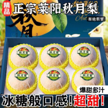 果益寿 山东秋月梨【商超精品】 5斤丨超值装 单果250g+净重4.5斤13.9元（需领券）