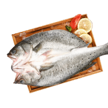 海鼎纪三去海鲈鱼2条装共800g 开背鲈鱼生鲜鱼类 海鲜水产夜宵食材中秋36.9元 包邮
