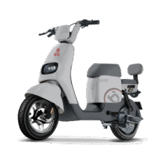 京东百亿补贴：宝岛电动车 BODO 宝岛电动自行车N18锂电48V24Ah1799元