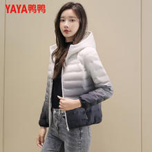 YAYA 鸭鸭羽绒服 反季清仓*超轻防泼防风羽绒服（多色）89元