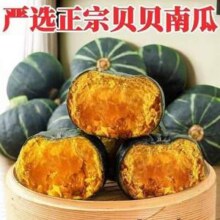 金地元 正宗贝贝南瓜 5斤6.84元包邮