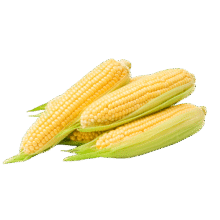10月17日0点:佳农宝菜山东新鲜水果玉米单根275g+鲜甜多汁4-7根净重4.6斤源头直发12.9元（需领券）