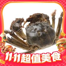 今日必买：阳澄乡村 大闸蟹全母 3.3-3.6两 8只198元
