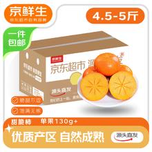 京鲜生 山西脆甜柿子 净重4.5斤单果140g起 生鲜水果 源头直发
