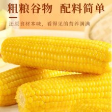正宗东北新鲜黄糯玉米软糯拉丝独立真空包装寒地黑土一年一季 头茬黄糯玉米200-220g*8支8.62元（需领券）