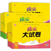 《小学拔尖大试卷》（科目/版本/年级任选）