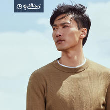 京东PLUS：goldlion 金利来 春秋款98%羊毛针织衫 37-浅咖啡 XL券后148.74元