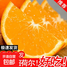 再降价：湖北秭归纽荷尔脐橙新鲜手剥甜橙应季自种农家新鲜采摘60-65mmjy 纽荷尔橙-尝鲜装（2粒）60-65mm0.01元包邮（需领券）