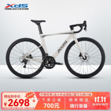 喜德盛公路自行车2025款AD300油碟UCI车架2x10速中空一体牙盘桶轴破风车 白蛇 510mm