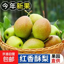 国红香酥梨果肉脆嫩2025新梨 带箱2斤净重1.7斤左右（单果100g+）