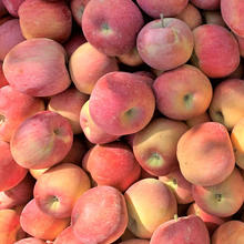 阿克苏苹果 AKSU AKESU APPLE 新疆阿克苏冰糖心苹果 红富士苹果 新鲜整箱脆甜孕妇水果 优选12-15枚 果重160g起丨净4.5斤券后29.9元