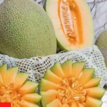 山东哈密瓜晓蜜17 新鲜现摘 3-3.5斤4.8元（需领券）