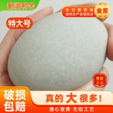 鄱湖鸭舍 无铅松花溏心皮蛋 60-70g/枚*10枚￥9.90 6.6折 比上一次爆料降低 ￥2