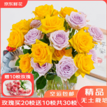 新鲜采摘源头直发！某东鲜花 玫瑰花鲜切花 20枝 送10枝