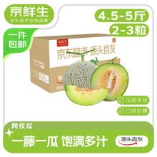 京鲜生 网纹蜜瓜 净重4.5-5斤 2-3粒20.7元