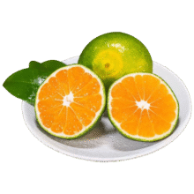 京觅湖北宜昌蜜桔橘子 净重3斤 单果50mm+酸甜可口源头直发包邮9元 (券后省3,月销1w+)