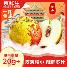 京鲜生 陕西大荔冬枣 净重4.5斤 单果20g+ 新鲜水果 源头直发券后29.9元