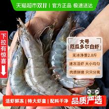 大黄鲜森 厄瓜多尔大虾南美白对虾1.65kg/4050水产盐冻大虾