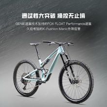 SPECIALIZED 闪电 STUMPJUMPER 15 COMP 碳纤维全避震山地自行车 29寸