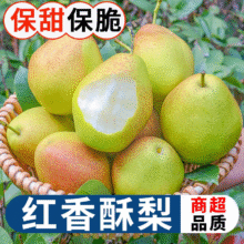 秋宜 陕西红香酥梨 2.5斤超值装【粉糯香甜】净重2斤8.8元（需领券，合4.4元/件）