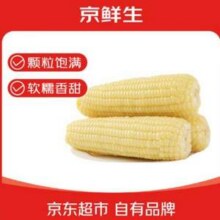 京鲜生 东北白糯玉米 250g*10棒19.5元包邮