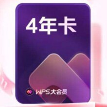 再降价：WPS大会员4年 含超级会员所有功能+WPS AI422.13元