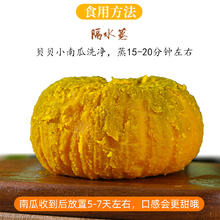 京鲜匠 山东贝贝南瓜 净重 4.5斤 （8-13个）单果3-6两