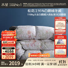 水星家纺 暖寐抗菌鹅绒冬被2代 羽绒被 220cm×240cm 1100g