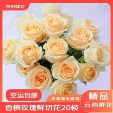 京东鲜花 产地仓严选直发 香槟玫瑰 20枝
