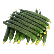 新鲜黄瓜现摘现发新鲜蔬菜生鲜可生吃炒菜非水果黄瓜 净重 3斤 畅享装5元（需领券）