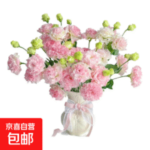 洋桔梗鲜花无刺玫瑰20-30个花苞9.9元（需领券）