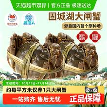 88VIP会员：鑫渔人 江苏南京固城湖大闸蟹螃蟹全母蟹鲜活精品蟹中秋1.8−2两全母蟹8只