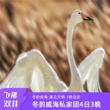威海旅游|4日3晚：漫游私家团·赏天鹅湖+登刘公岛+逛火炬八街1399元2人起订，儿童免单，0购物0自费