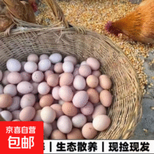 微信小程序：九华山散养老母鸡 净重2斤 慢养500天土鸡鸡蛋组合 源头直发 4枚土鸡蛋1.98元（需领券）