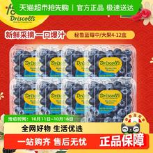 88VIP会员、有券的上：怡颗莓 新鲜蓝莓中果4盒 中果14-17 mm