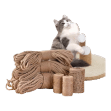 剑麻绳DIY天然麻绳猫爬架柱子猫抓板  手工麻绳-10米-2mm1个装 DIY手工麻绳1.52元包邮