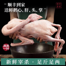 颐乡情 现杀大鹅农家散养 净重9-10斤/只【料包+鲜参】64.9元