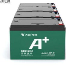 20点：天能 电池A+系列两轮三轮电动车电摩款铅酸蓄电池175.82元（需领券）
