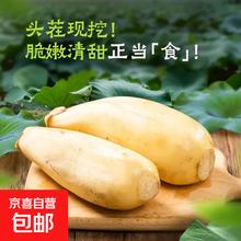 京喜 微山湖 精品莲藕 1斤0.5元