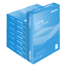 得力（deli）白令海A4打印纸 70g500张*8包一箱 双面高性价比复印纸 整箱4000张107元