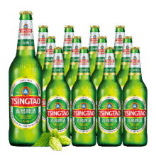 TsingTao/青岛啤酒 经典 瓶装啤酒 600ml 12瓶62.75