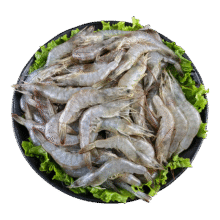 一虾一世界 海捕超大号白虾 产地直发 8cm小白虾 4斤(净重)  固形物80%49.6元