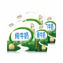 伊利 内蒙古奶源限定纯牛奶 200ml*12盒*2箱