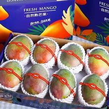 花慕辰 凯特芒果 4.5斤装 特大果 单果600g+13.85元（需买2件，需用券）